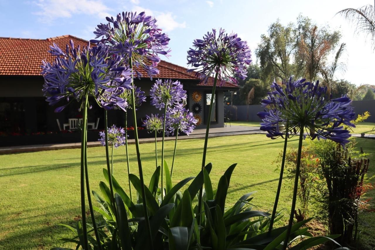 Villa Grande Luxury Accommodation Welkom Dış mekan fotoğraf